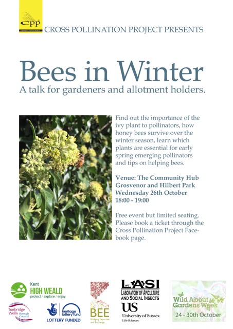 bees_in_winter